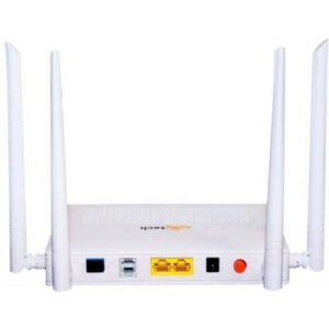 SY-GPON-2010-WDAONT